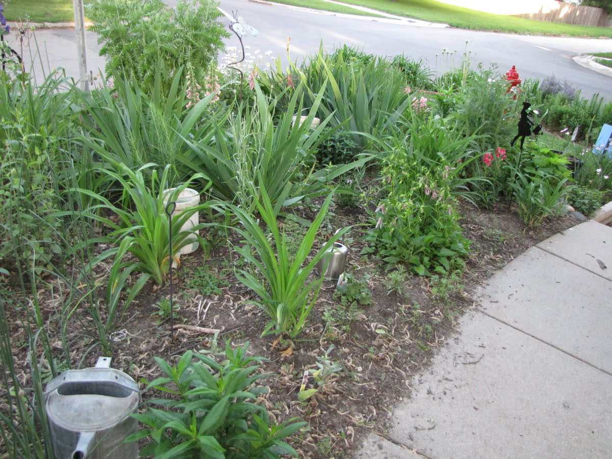 A Corner Garden: Bloomin' Tuesday in the Front Yard Bed