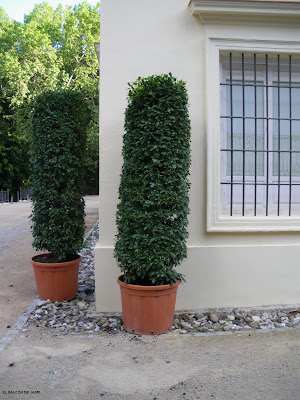 La plantación (Parte 1) | El Balcón