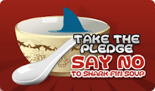 Say No to Shark Fin Soup