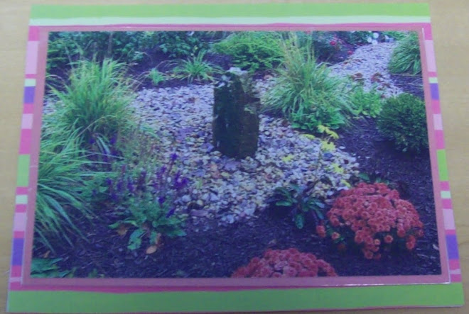 Fountain and flowers/plants at our local insurance office