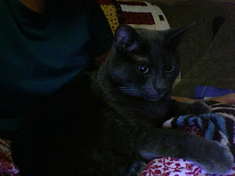 Tate aka Hippopotomonoply