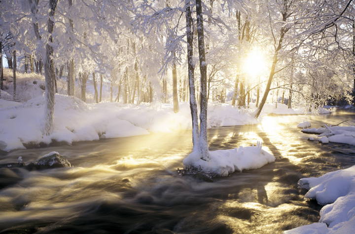 VINTER.jpg