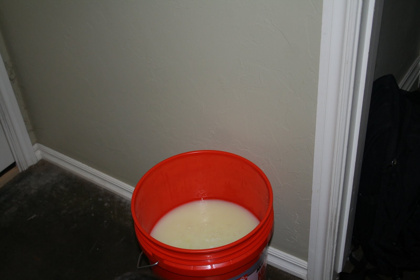 BANANAS & BEES The Laundry Detergent Experiment