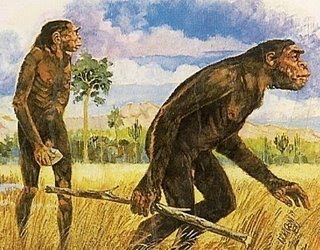 LA HISTORIA EDUCA: 2010