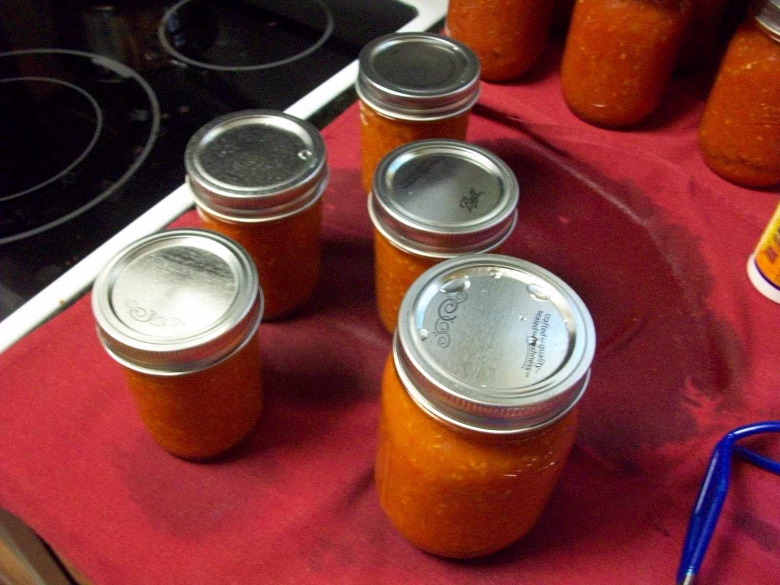 Homestead Roots Canning Crushed tomatoes recipe step by step with pics
