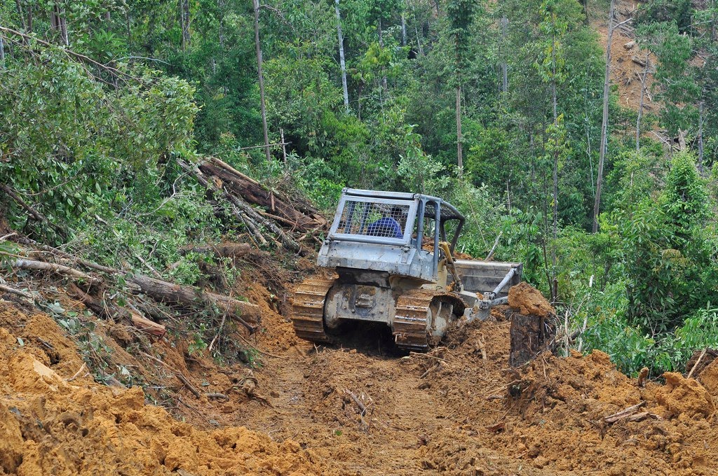 Nature Alert Palm oil causing ever more death and destruction.