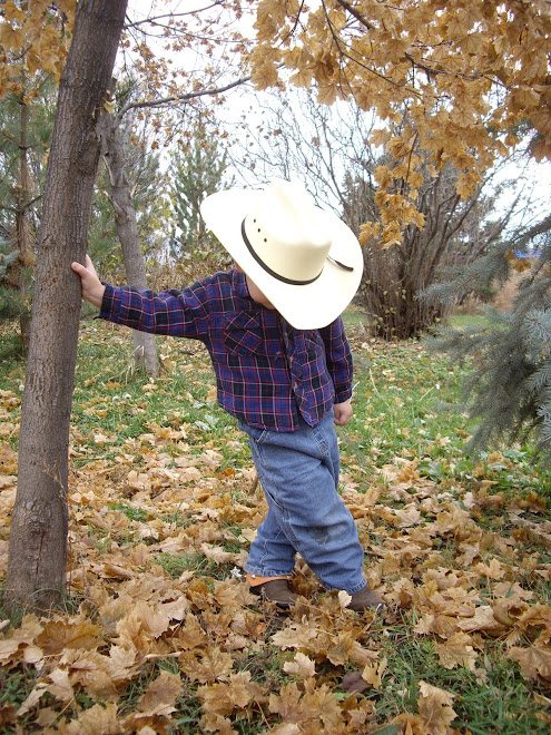 Timid Cowboy