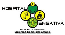 ESCUDO HOSPITAL DE ENGATIVA