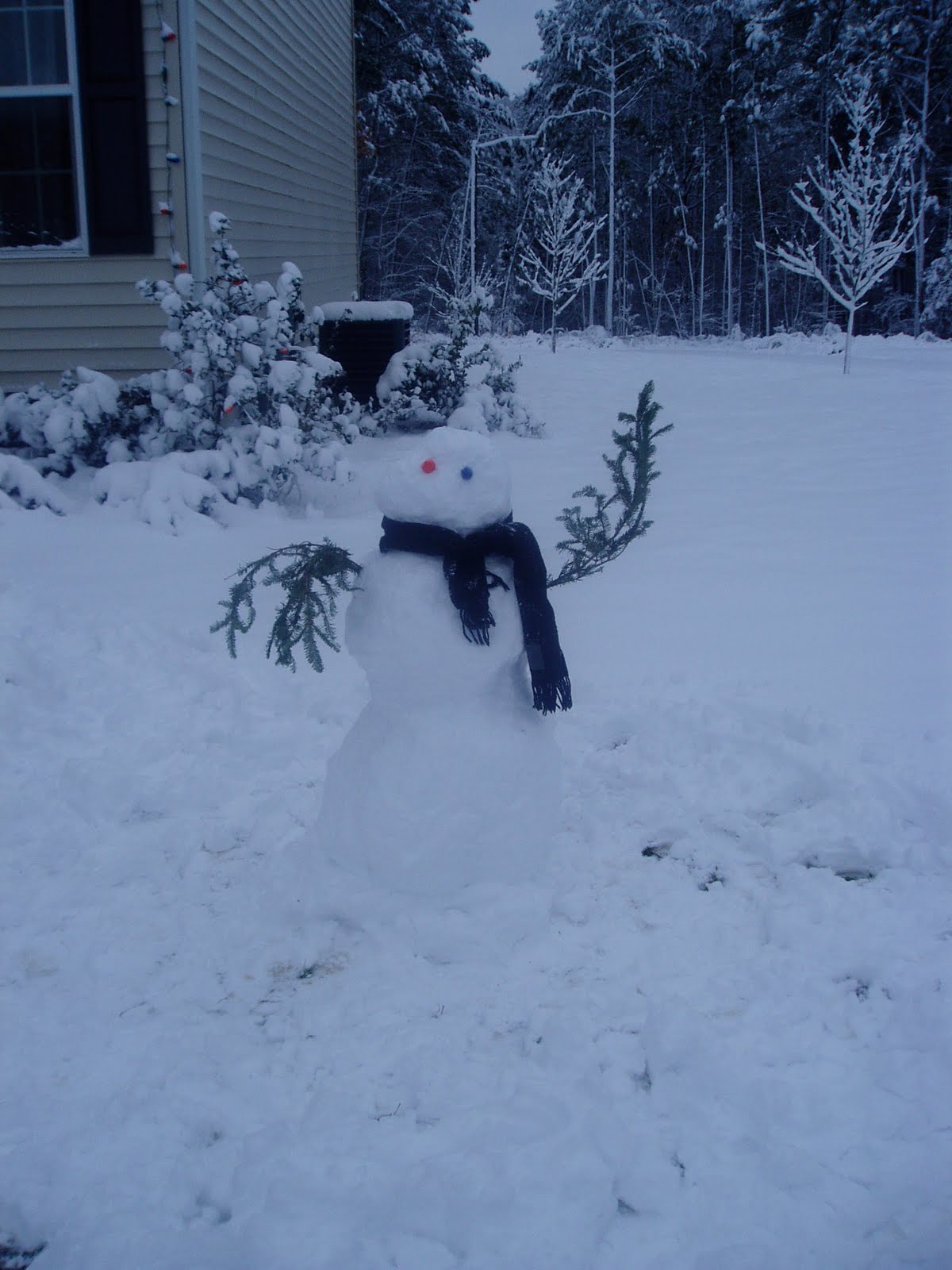 myerslife White Christmas in North Carolina