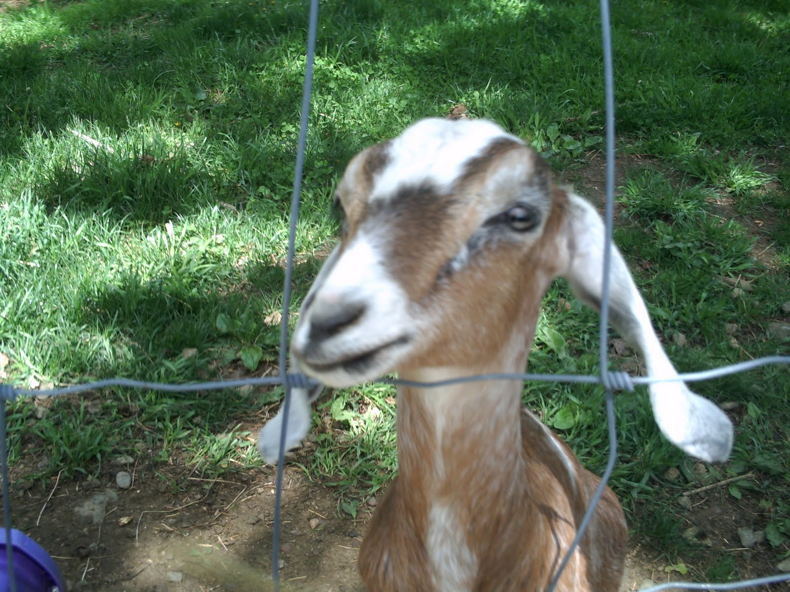  posted by Jim O'C 954 AM