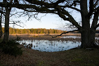 Dalkarlskärret vårbild