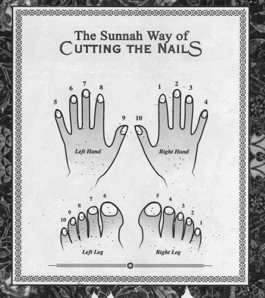 How to trim Nails Islamic Way (Sunnah e Rasool S.A.W.W.) Enjoy Friendly