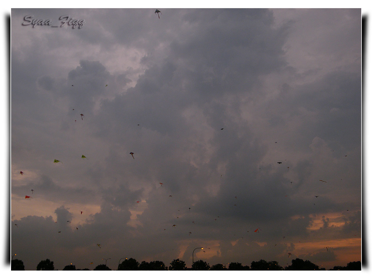 [kites+sky.jpg]