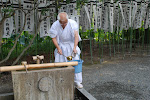 JAPON 2009. (Photos Olivier Milza de Cadenet).