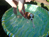 Roxy Swimming