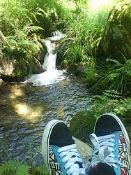 Ribeiro,na Quinta do Engenho