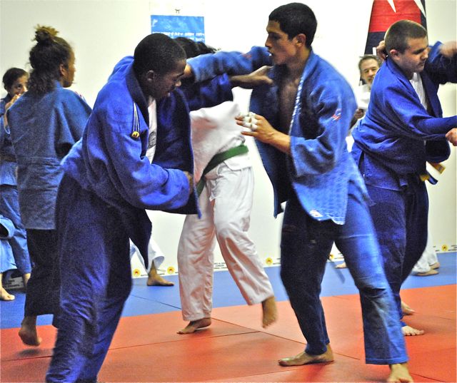 Стандарт спортивной подготовки дзюдо. Дзюдо дома.