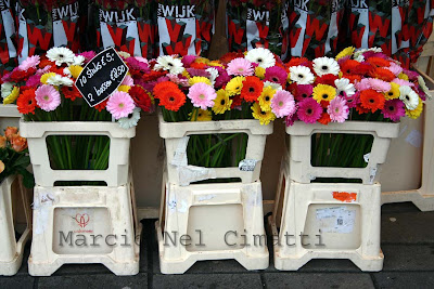 Dica de Amsterdã: Flores o ano todo IMG 1407Lassinada