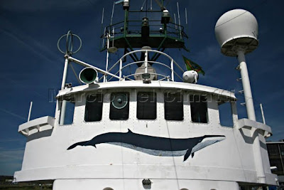 Passeio ecologicamente correto. IMG 6456T+leve