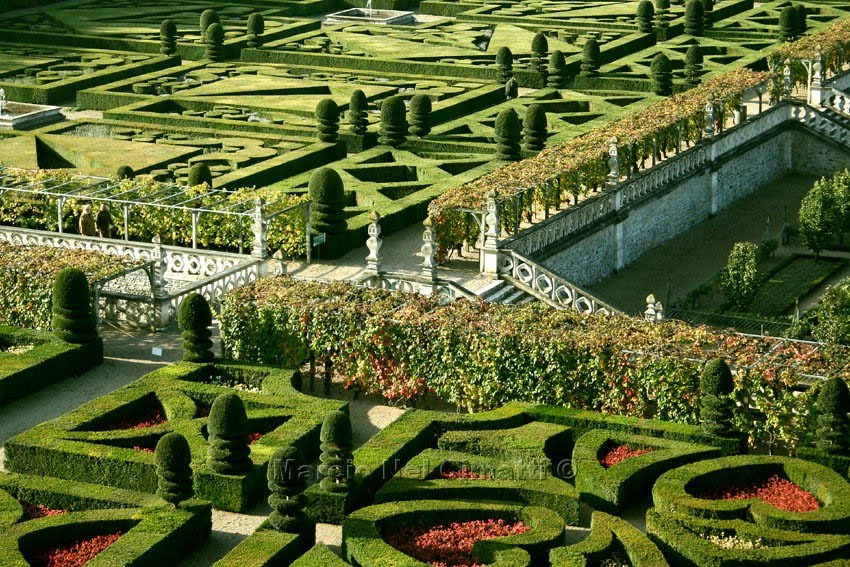 [IMG_1166T+leve.jpg]