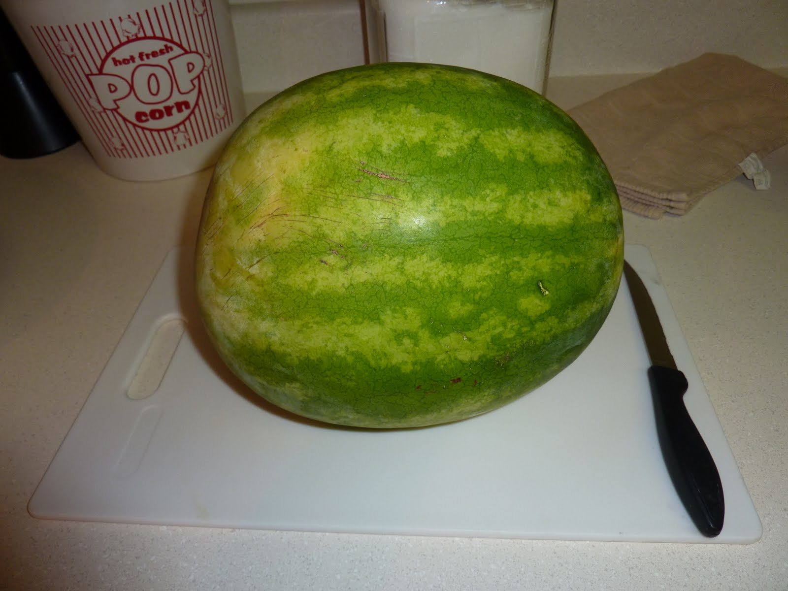 just call me mama... belly pics and watermelon