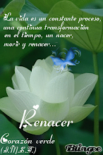 Premio Renacer