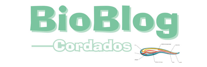BioBlog: Cordados (2ºA)