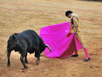 GALERIA CORRIDA DE JEREZ DE LOS CABALLEROS. 2º TORO