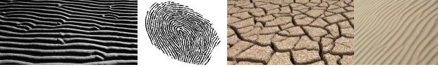 Fingerprint "RIDGES", others, and "dried clay"