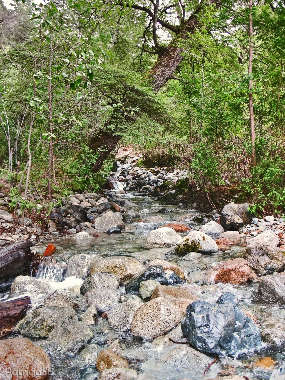 FOTOS Y RELATOS DE VIAJES: octubre 2010