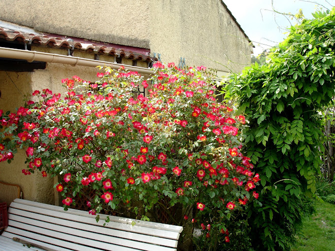 autour de la maison