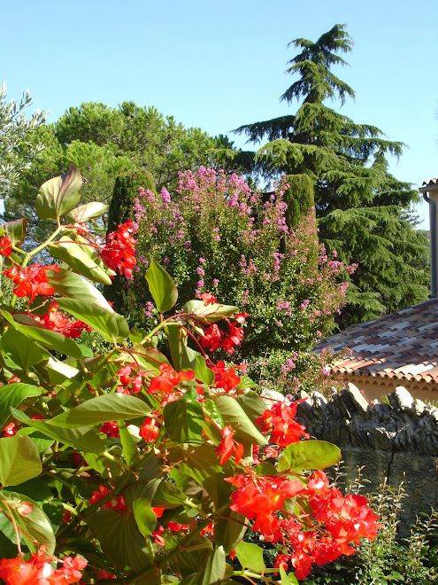 le jardin