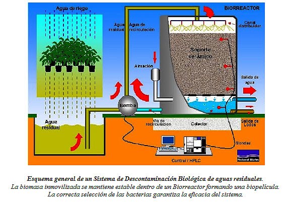 tRataMienTo de aGuas reSiduaLes: TRATAMIENTO DE AGUAS RESIDUALES