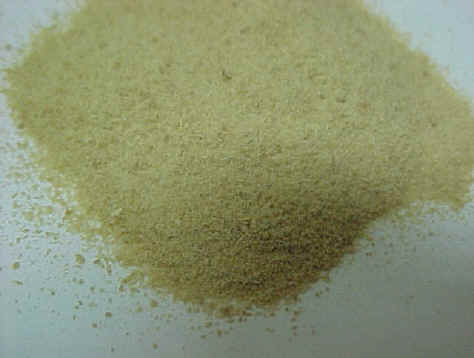 [Levedo_de_cerveja.JPG]