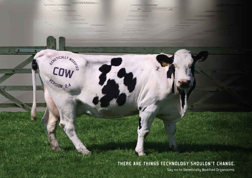 [cow_advert.jpg]
