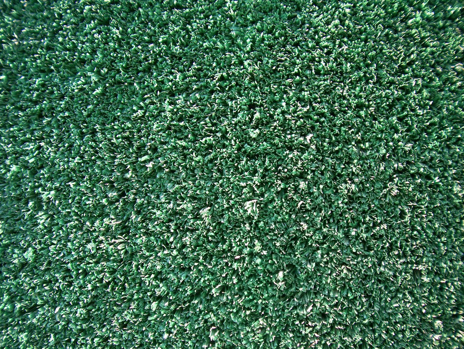 untitled Helena Astro Turf 3