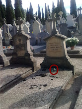 ALGUIEN HA DEJADO UN CRISANTEMO SOBRE MI TUMBA.