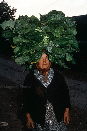 [de+stuart+franklin.+Sabugos+.Espanha.jpg]