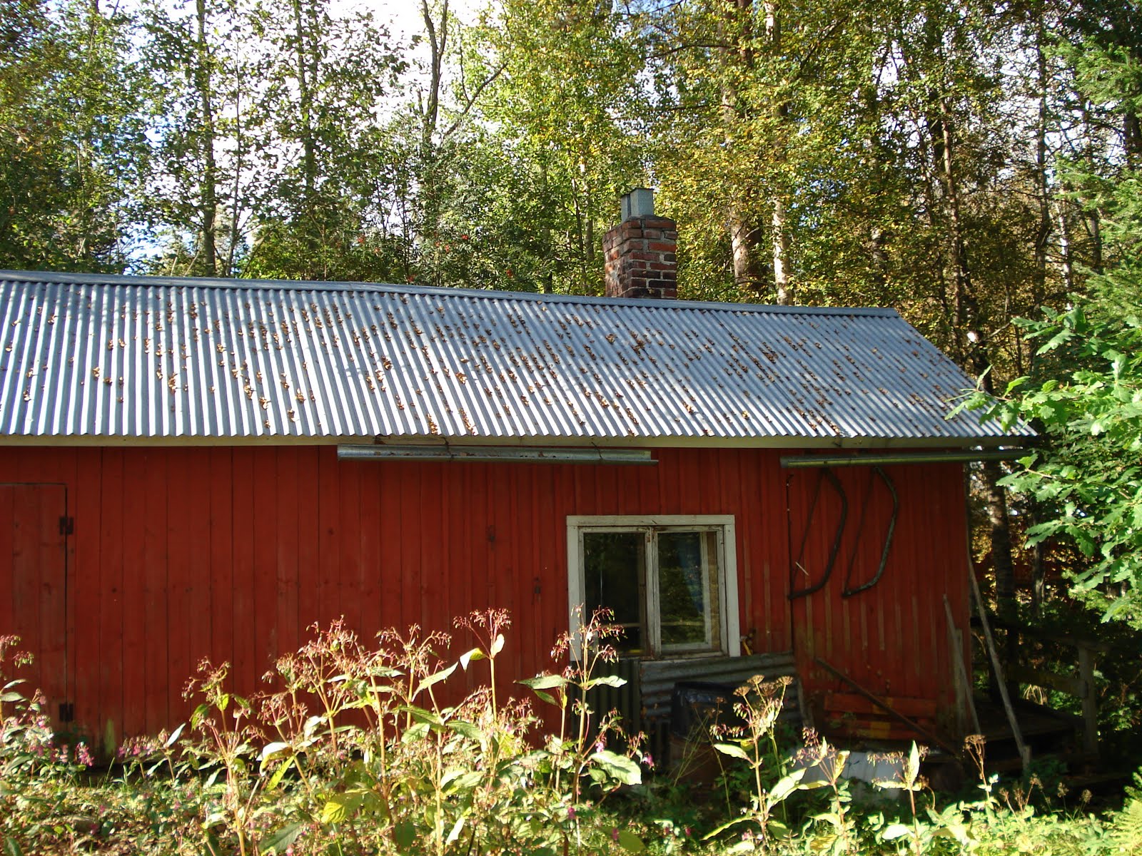 [DSC04929.JPG]