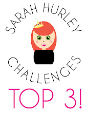 Very Proud to be Top 3 at Sarah Hurley Challenges