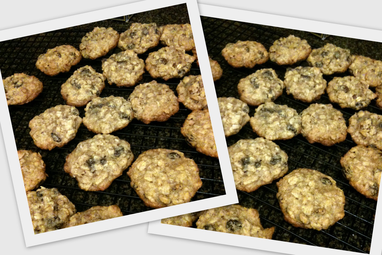 {vittles} raisins pecan oatmeal cookies