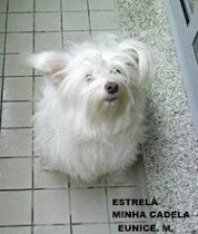 ESTRELA A MINHA FOFINHA