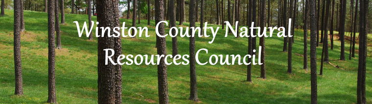 Winston County Natural Resources Council