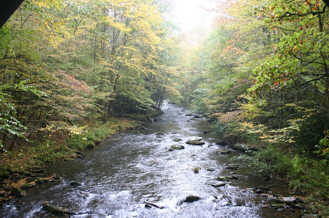 Smoky Mountain Creek