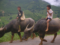 Sapa Vietnam