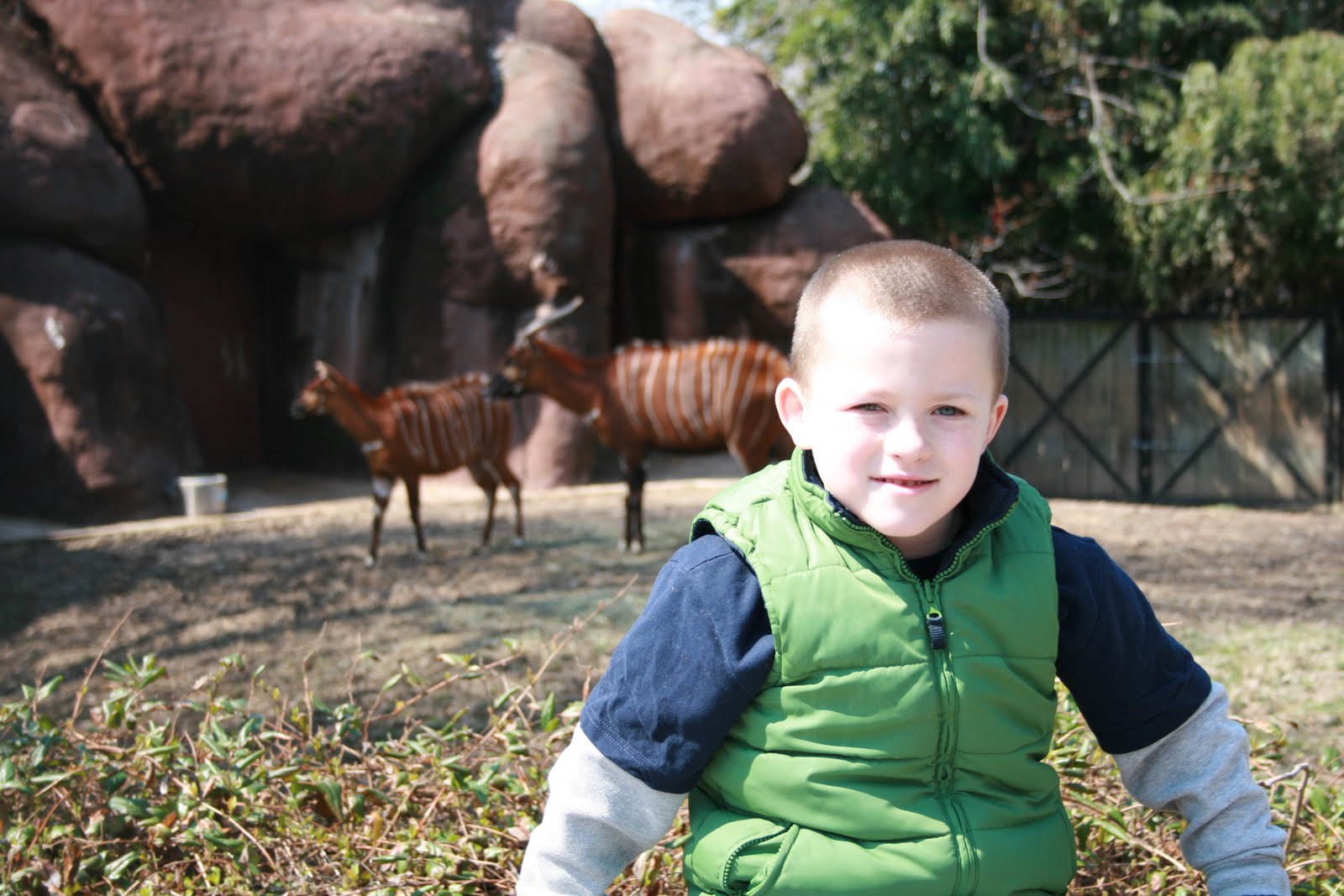 All About Us Spring Break...St. Louis Zoo
