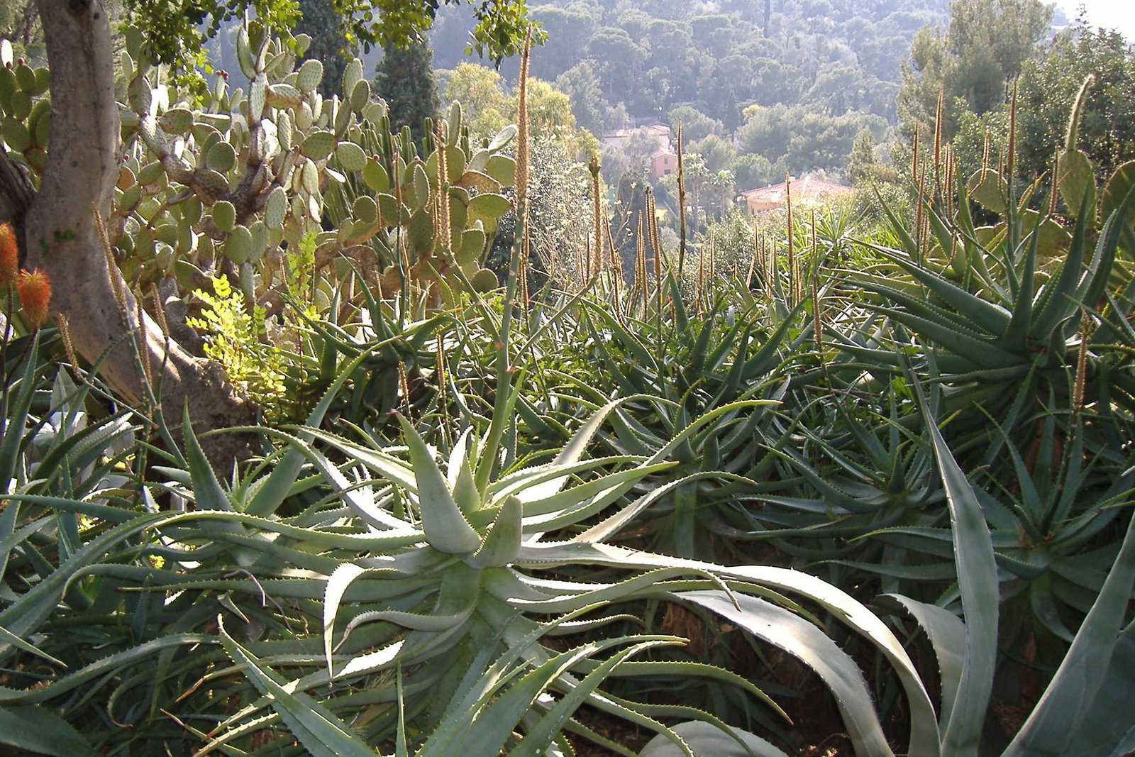 [photos+avril2007+301.jpg]