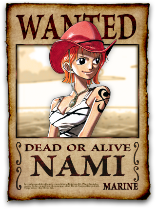 One Piece Nami  Nami Wanted Poster 