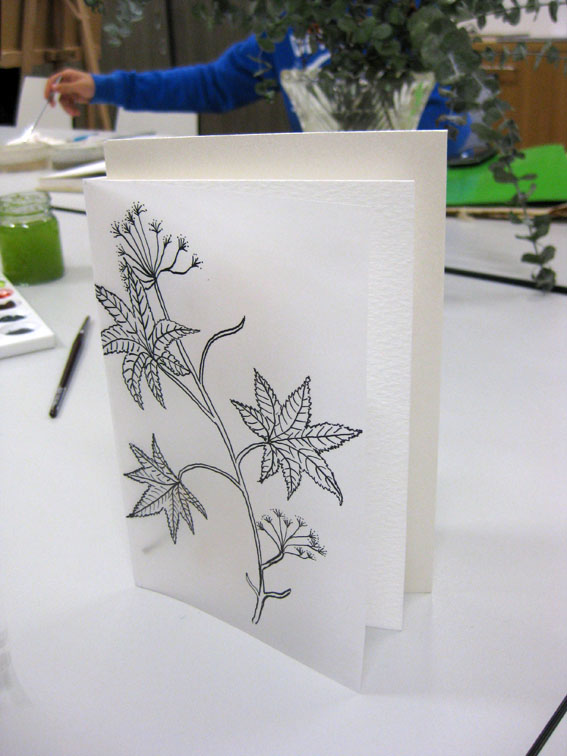Botanic Art Classes Botanical Art Greeting Cards