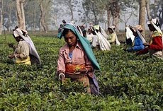 န Sukana, 15 February :